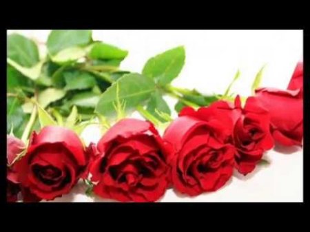 IMPRESS - ROŻE - Cover-Defis (Kieleckie Wesele 3)