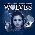 Selena Gomez & Marshmello – Wolves (C. Baumann Remix)