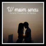 Verba & Sylwia Przybysz - Tylko Ciebie Chcę ( REMIX )