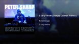 Peter Sharp - Szállj velem (Deejay Jankes Remix)