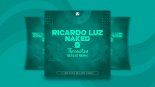Ricardo Luz - Naked (Theemotion Reggae Remix)