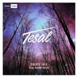 Tesal Feat. Robbie Rosen - Night Sky