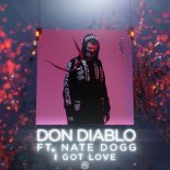 Don Diablo feat. Nate Dogg - I Got Love (RetroVision Flip)