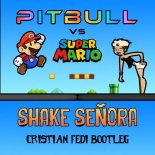 Pitbull vs Super Mario - Shake Senora (Cristian Fedi Bootleg)