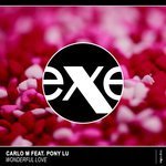 Carlo M feat. Pony Lu - Wonderful Love (Extended Mix)