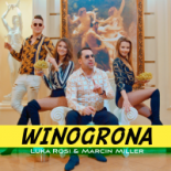 Luka Rosi & Marcin Miller - Winogrona (Cyja Remix)