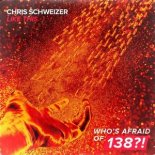 Chris Schweizer - Like This (Extended Mix)