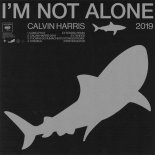 Calvin Harris - I'm Not Alone (2019 Extended)