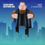 Calvin Harris & Rag\'n\'Bone Man - Giant (DJ Stranger Remix)