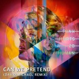 P!nk feat. Cash Cash - Can We Pretend (David Michael Remix)