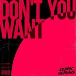 Cedric Gervais - Don't You Want (Extended Mix)