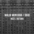 Malik Montana & Diho - Roze z Betonu