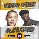 Nico Vinz - Am I Wrong (A.Floud Remix) (Radio Edit)