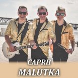 Caprii - Malutka (Radio Edit)