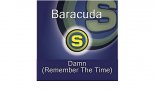 Baracuda - Damn! (Pulsedriver & Bass-T vs Rocco Rmx)