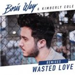 Boris Way Feat. Kimberly Cole - Wasted Love (Provi Remix)
