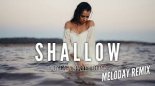 Lady Gaga & Bradley Cooper - Shallow (Meloday Remix)