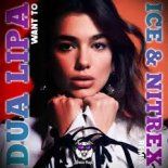 Dua Lipa x Ice & Nitrex - Want To (SAlANDIR Radio Version)