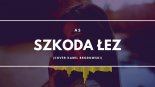 AS - Szkoda Łez (COVER Kamil Brodowski)