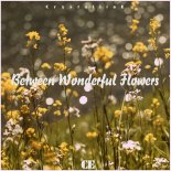Crystalline - Between Wonderful Flowers