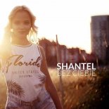 ShanteL - Bez Ciebie (Dendix & Dj Puszczyk Remix)