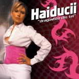 Haiducii - Dragostea Din Tei (SHORT Remix)