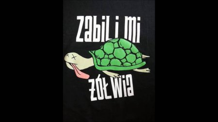 Zabili Mi Żółwia - Lks