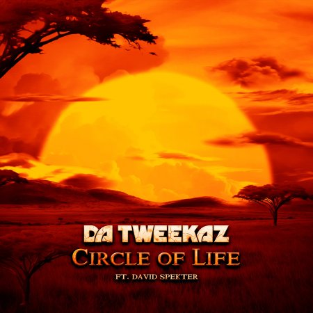 Da Tweekaz ft. David Spekter - Circle Of Life (Radio Edit)