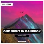 Vinylshakerz x Explo - One Night In Bangkok (SAlANDIR Radio Version)