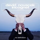 Incognet, David Novacek - Loser Hit (Original Club Mix)