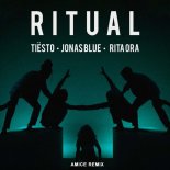 Tiësto, Jonas Blue & Rita Ora - Ritual (Amice Remix)