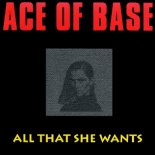 Ace Of Base - All That She Wants (Bhangra Version)