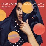 Felix Jaehn - Book of Love (feat. Polina)
