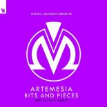 Artemesia - Bits And Pieces (PBH & Jack Remix)