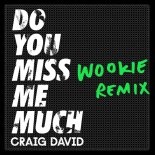 Craig David - Do You Miss Me Much (Wookie Remix)