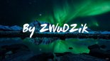Best Of DBL 2019 By Zwudzik Vol.17