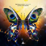 Tritonal ft LEVV  - Medicine (Alpha Code Remix)