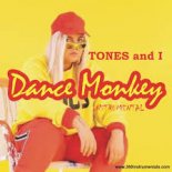 Tones And I - Dance Monkey (Less Is More Boolteg Mix)