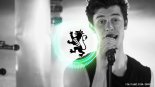Shawn Mendes - If I Can\'t Have You (Que & Rkay Bootleg)