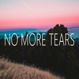 Sonic Journey - No More Tears