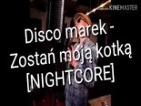 DISCO MAREK - ZOSTAŃ MOJĄ KOTKĄ ( Nightcore )