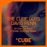 David Penn, The Cube Guys - Ah Feel Like Ahcid (Etienne Ozborne Remix)