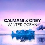 Calmani & Grey - Winter Ocean (Lizot Remix Extended)