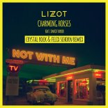 Lizot feat. David Taylor – Not With Me (Crystal Rock & Felix Schorn Extended Remix)
