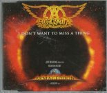 Aerosmith - I Don't Want To Miss A Thing