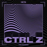 Halvorsen - Ctrl Z (Original Mix)