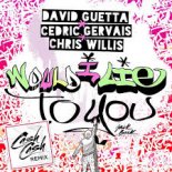David Guetta & Cedric Gervais & Chris Willis - Would I Lie To You (Cash Cash Remix)