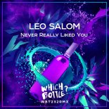 Leo Salom - Never Really Liked You (Original Mix)