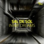 Sal De Sol - In My Dreams (prod. by Pulsedriver)