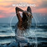 Tim Dian - Wandering (Original Mix)